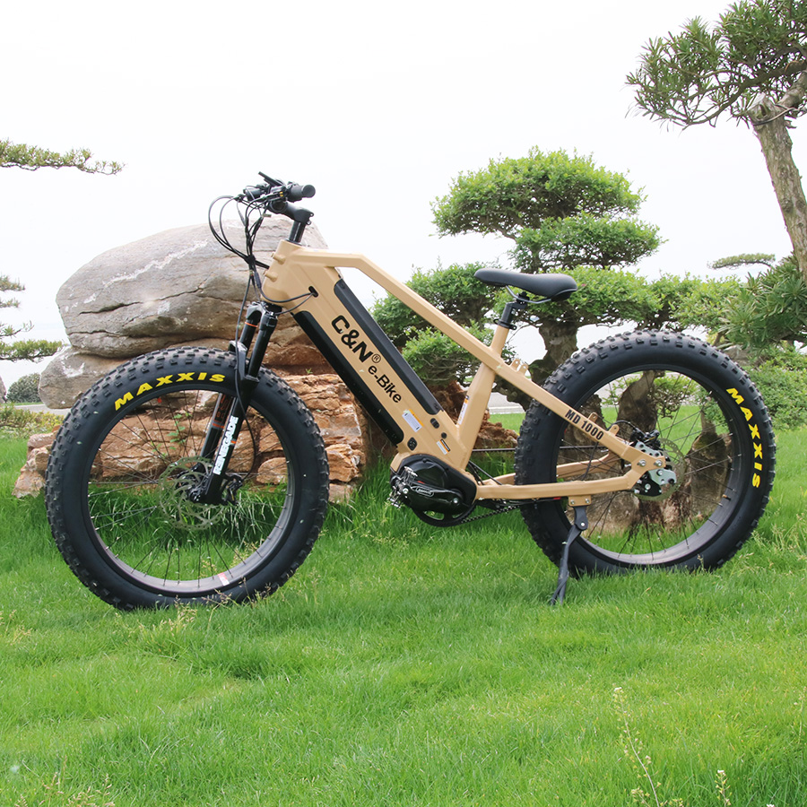 Kit di conversione eBike con m - Mid Drive Conversion Kit 1000W recensione e prezzo